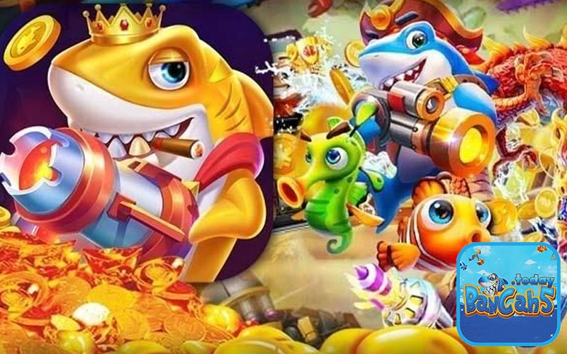 Giới thiệu Săn Cá Vàng tại Bancah5